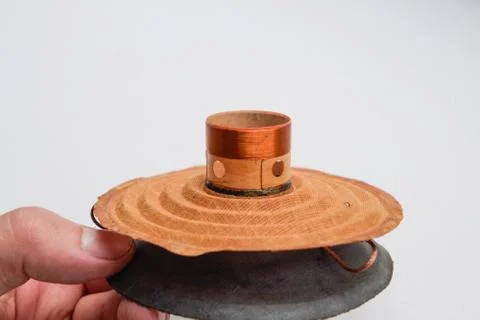 Moving system of the mid-range speaker 20gds-3 of Soviet production. Diffuser Stock Photos