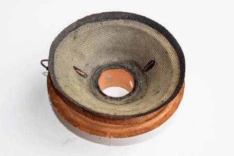Moving system of the mid-range speaker 20gds-3 of Soviet production. Diffuser Foto stock