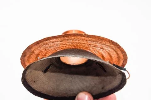 Moving system of the mid-range speaker 20gds-3 of Soviet production. Diffuser Stock Photos