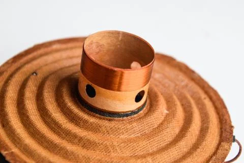 Moving system of the mid-range speaker 20gds-3 of Soviet production. Diffuser Foto stock