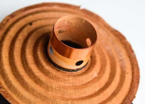 Moving system of the mid-range speaker 20gds-3 of Soviet production. Diffuser Stock Photos