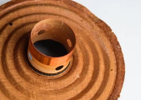 Moving system of the mid-range speaker 20gds-3 of Soviet production. Diffuser Stock Photos