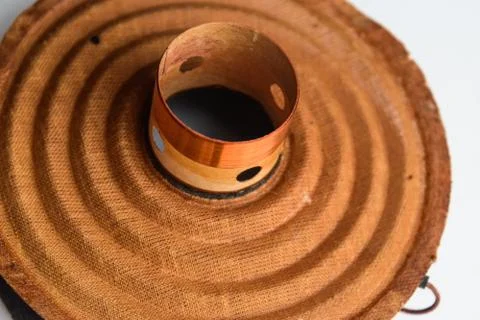 Moving system of the mid-range speaker 20gds-3 of Soviet production. Diffuser Stock Photos