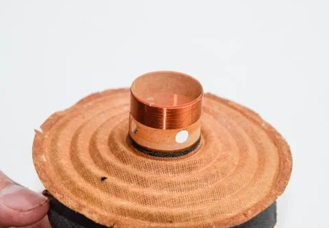 Moving system of the mid-range speaker 20gds-3 of Soviet production. Diffuser Stock Photos