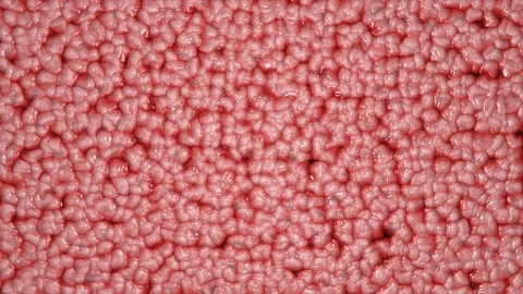 Moving textures in the shape of living organs Stock Footage 128658434