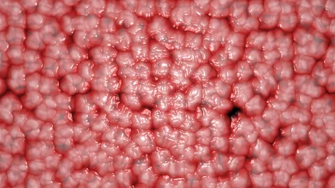 Moving textures in the shape of living organs Stock Footage 128989947