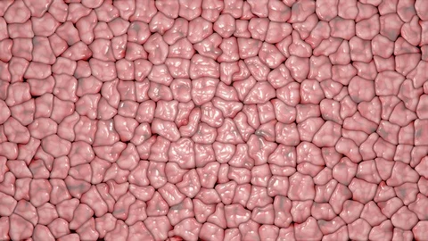 Moving textures in the shape of living organs Stock Footage 128990661