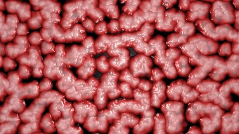 Moving textures in the shape of living organs Stock Footage 129324694