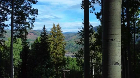 Moving Through Aspen Trees To View Vail village 스톡 동영상 220591612