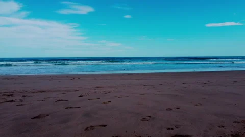 Moving through branches on beach Stock Footage 229071299
