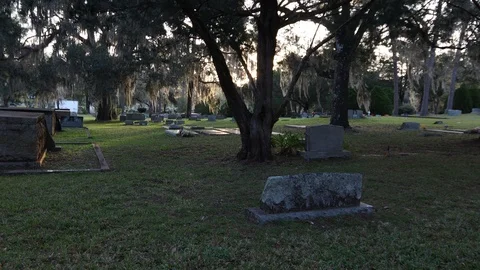 Moving through a cemetery at sunset. 4K Stock Footage 123388029