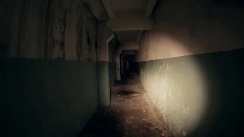 Moving through dark creepy corridor. First person view, going with flashlight Stock Footage 83111455