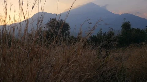 Moving through the dry grass at sunset Stock Footage 94978392