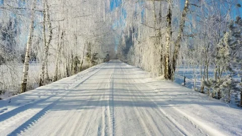 Moving through frosty birch tree alley by snow covered countryside road on Stock Footage 344512533