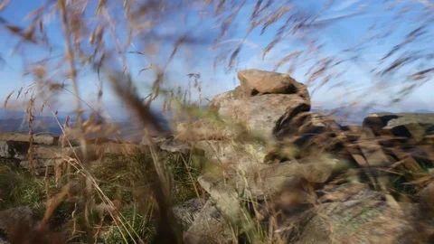 Moving through grass on foreground to mountain edge Stock Footage 95090220