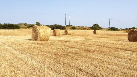 Moving through hay bales Stock Footage 112040668