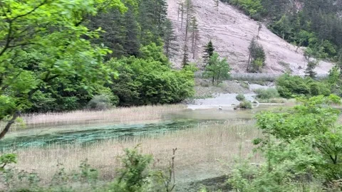 Moving Through Lush Green Forest Past Turquoise Lake in Jiuzhaigou Valley Si Video stock 338038070