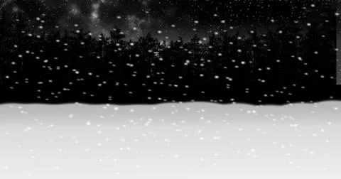 Moving through night winter snow forest animation2 Stock Illustration