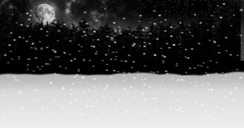 Moving through night winter snow forest animation Stock Illustration