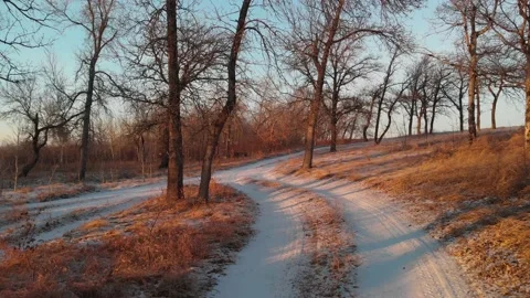 Moving through an oak forest along a two-lane road that is covered by snow Stock Footage 143194838