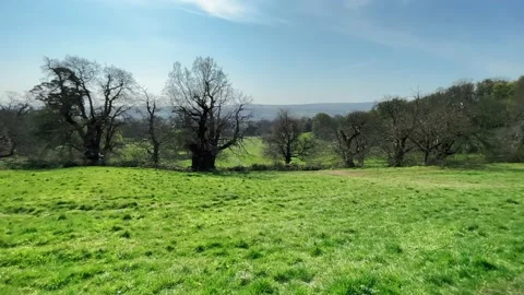 Moving Through a Park Stock Footage 153464190