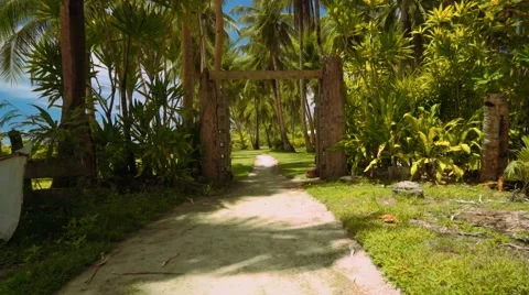 Moving through rustic gates to park with palm trees on lawn grass, Philippines Video stock 67600514