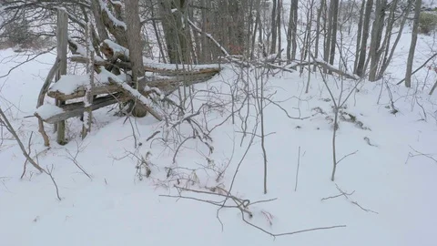 Moving through snow covered winter forest 03 Stock Footage 100879837