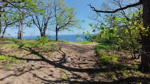 Moving through a spring forest towards the blue sea horizon, aerial POV shot 库存影片 333568874