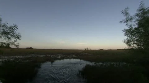 Moving through swamp 動画素材 12761443