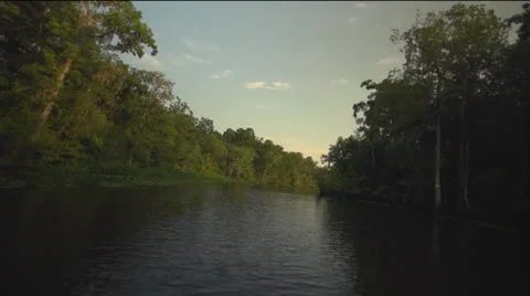 Moving Through Swamp - Long Take (Smooth) Vídeos de archivo 26660938