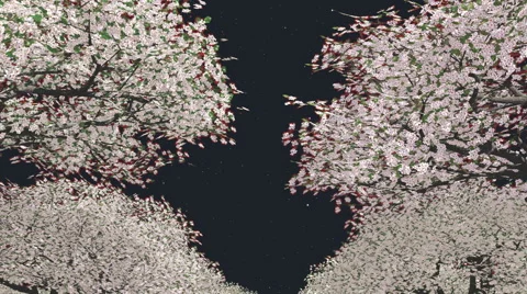 Moving through trees at night 스톡 동영상 44348496