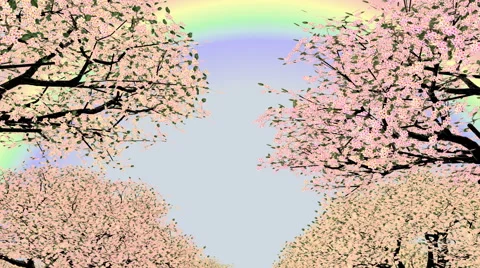 Moving through trees toward rainbow 스톡 동영상 44348538