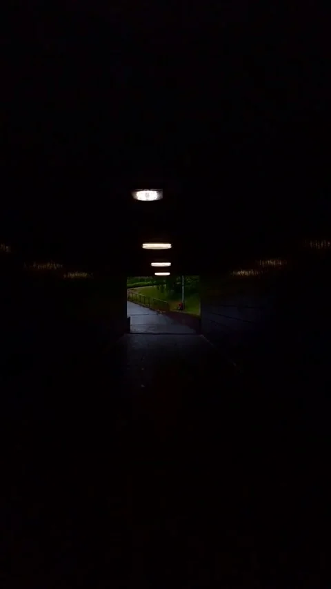 Moving through an underpass with creepy flickering lights - Vertical Video Video stock 200401290