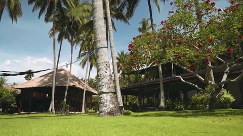 Moving through yard with palm trees and wooden villas Stock Footage 77868201