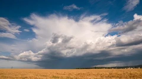 Moving thundercloud over a wheat field Vídeo Stock 133783642