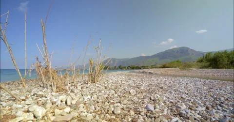 Moving time lapse on the beach with clouds and dried bush 4K Stock Footage 49153018