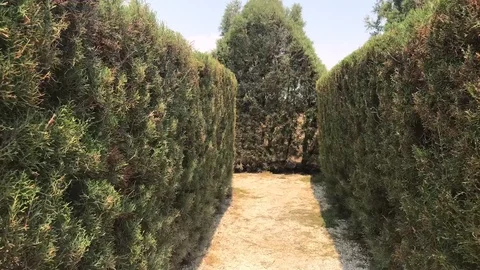 Moving Time lapse Shot inside a Labyrinth Garden Stock Footage 110983321