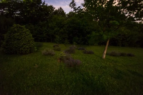Moving timelapse of starry night sky Stock Footage 99020234