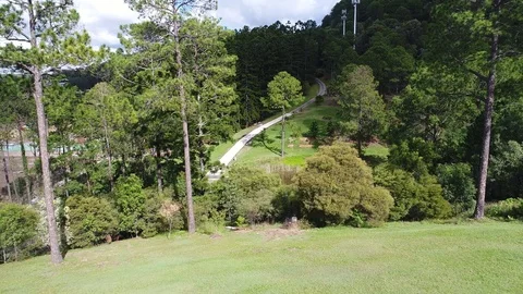 Moving toward gap in trees Stock Footage 77331830