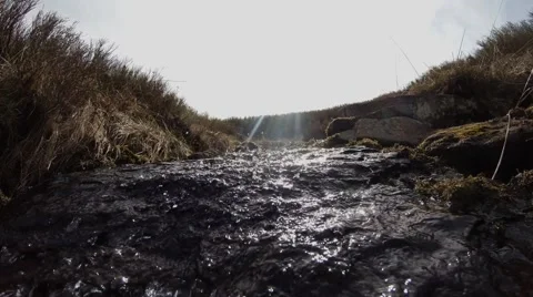Moving Towards Flows of Mountain Stream Under the Bright Sun Stock Footage 63962977