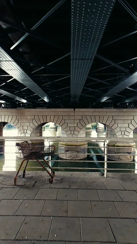 Moving towards a rusty and dirty shopping cart under a bridge - Vertical Video Stock Footage 200401082