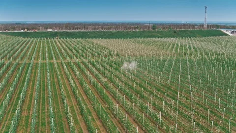 Moving Tractor In The Vineyard Landscape Video stock 88692605