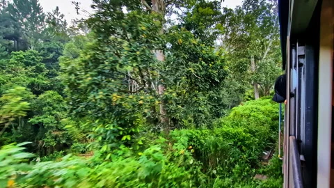 Moving train from Ella to Kandy window view of tropical forest Lanka Video stock 330910334