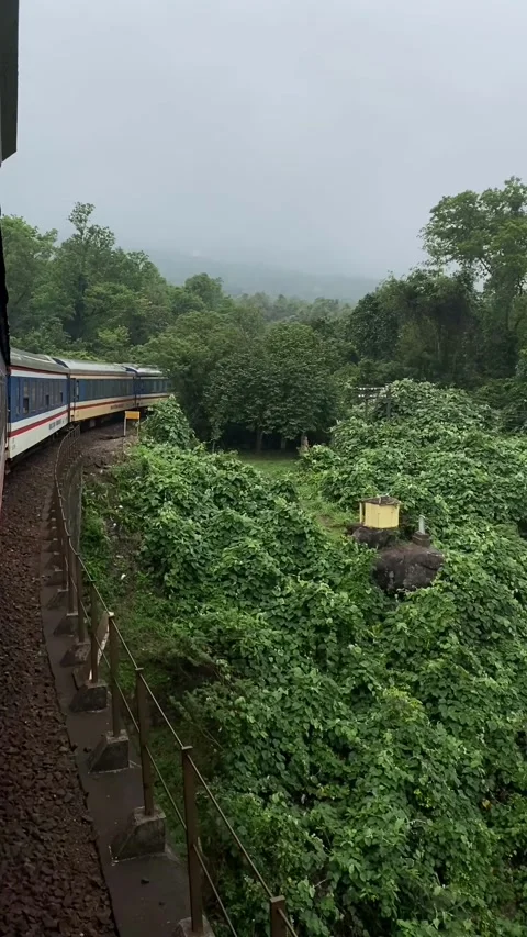 A moving train passes above dense green jungle beneath cloudy sky in tropical Video stock 336006644