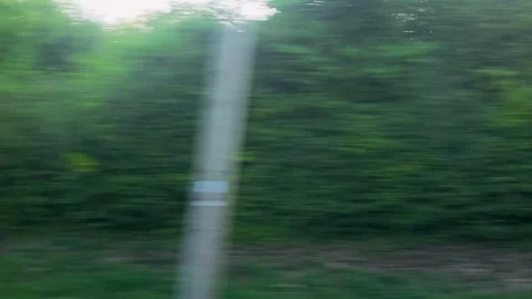 Moving train perspective through a window toward blurred summer woods, foliage Stock Footage 336385189