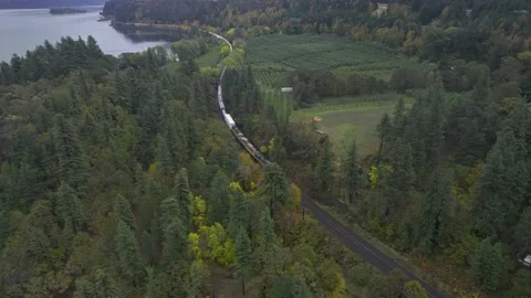 Moving Train Through Trees Stock Footage 220896448