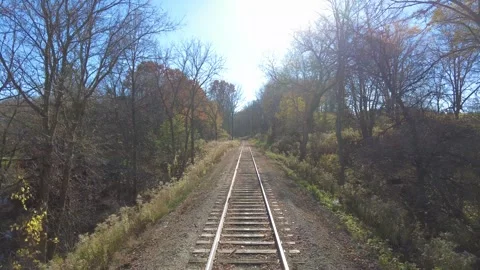 Moving Train Tracks In Forest Wilderness View Video stock 247505965