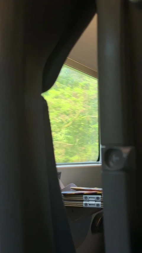 Moving train window perspective, showing blurred green forest foliage passing 스톡 동영상 336189668