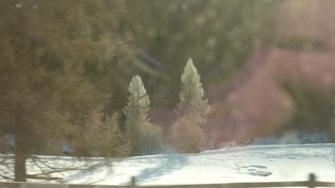 Moving train window view of sparkling frozen trees Stock-Footage 328706944