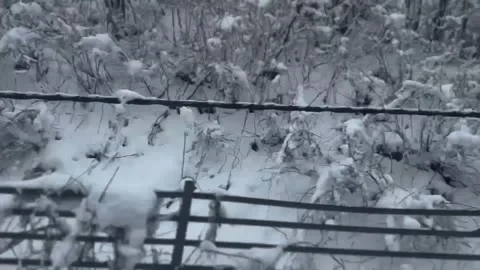 Moving Train Window View Winter Snow Covered Landscape Stock Footage 345635567